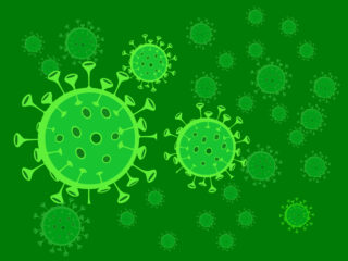 Oregon State University Research: Hemp Compounds Prevent Coronavirus From Entering Human Cells